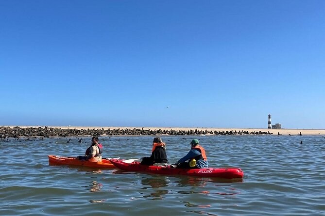 Pelican Point Kayaking: Seals & Shipwreck Paddle