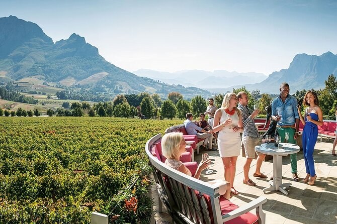 Stellenbosch & Franschhoek: Private Cape Winelands Half-Day