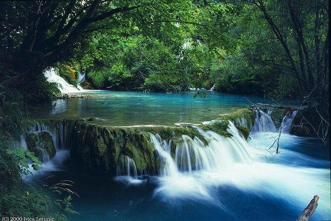 Bach Ma National Park: Private Trek & Waterfall Immersion