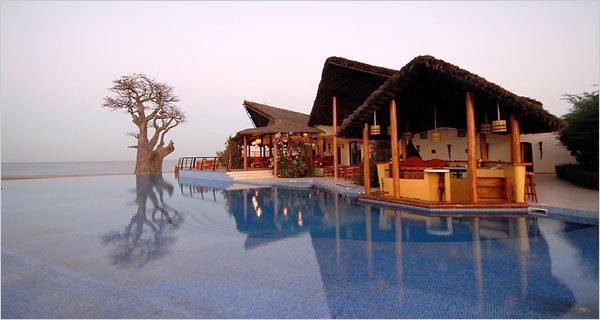 Saloum Delta Mangrove & Baobab Safari by Pirogue