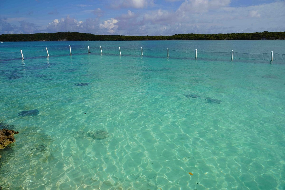 Stingray Adventure at Bonefish Lagoon