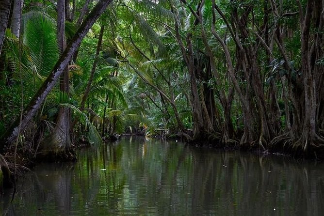 Indian River Mangrove Cruise & Fort Shirley, Portsmouth