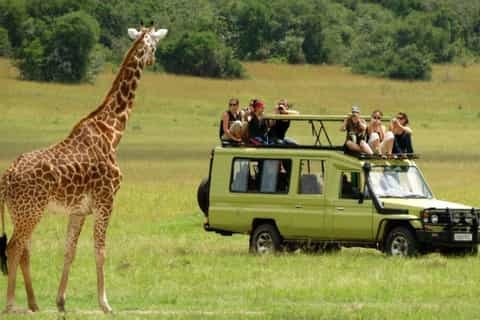 PheZulu Safari Park: Zulu Cultural Immersion & Game Drive