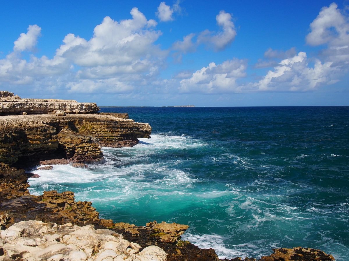 Devil's Bridge, Half Moon Bay & East Coast Safari by Open-Air 4x4