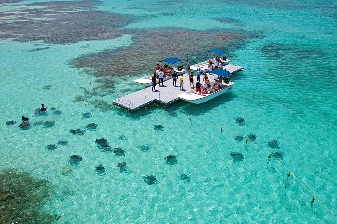 Stingray City Antigua: Private Shallow-Water Encounter & Snorkel