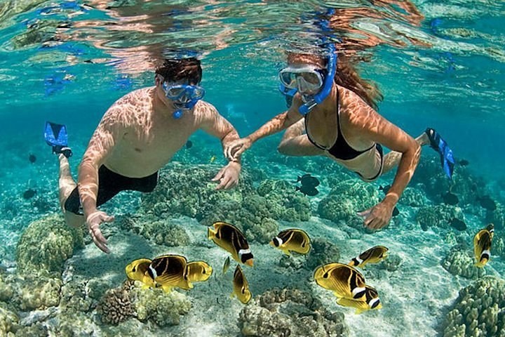 Hon Mun Marine Park: Private Snorkel & Dive Safari