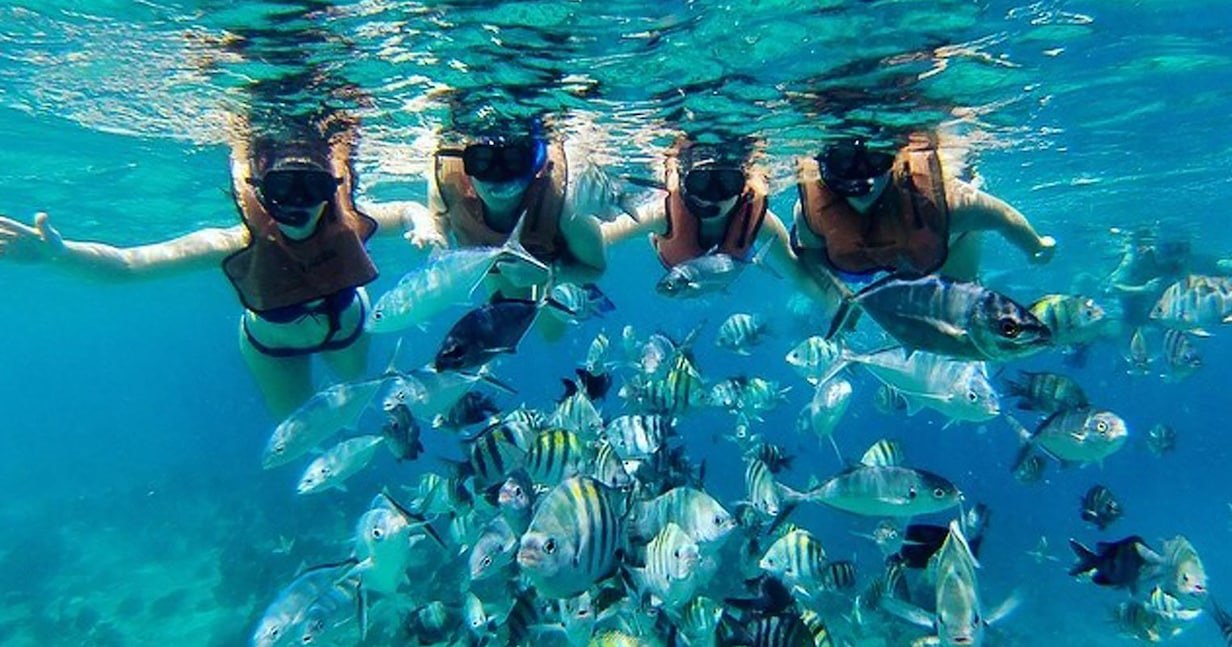 Half Moon Cay Snorkel by Boat (offshore reef)