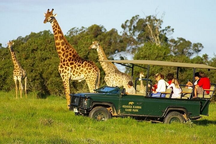Kragga Kamma Game Park: Private Guided Safari & Bush Breakfast