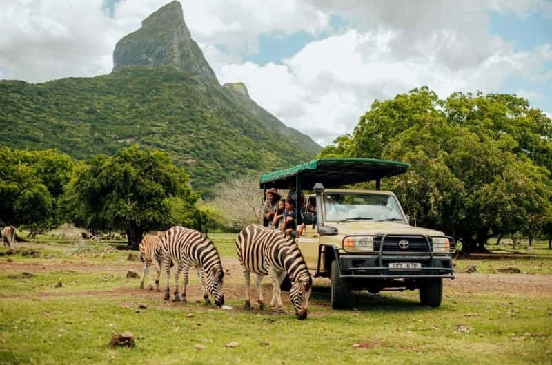 Casela Nature Parks: Lions, Zip-lines & Rhino Safari