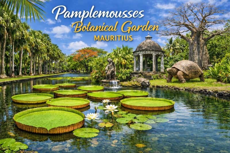Sir Seewoosagur Ramgoolam Botanical Garden: Private Guided Visit