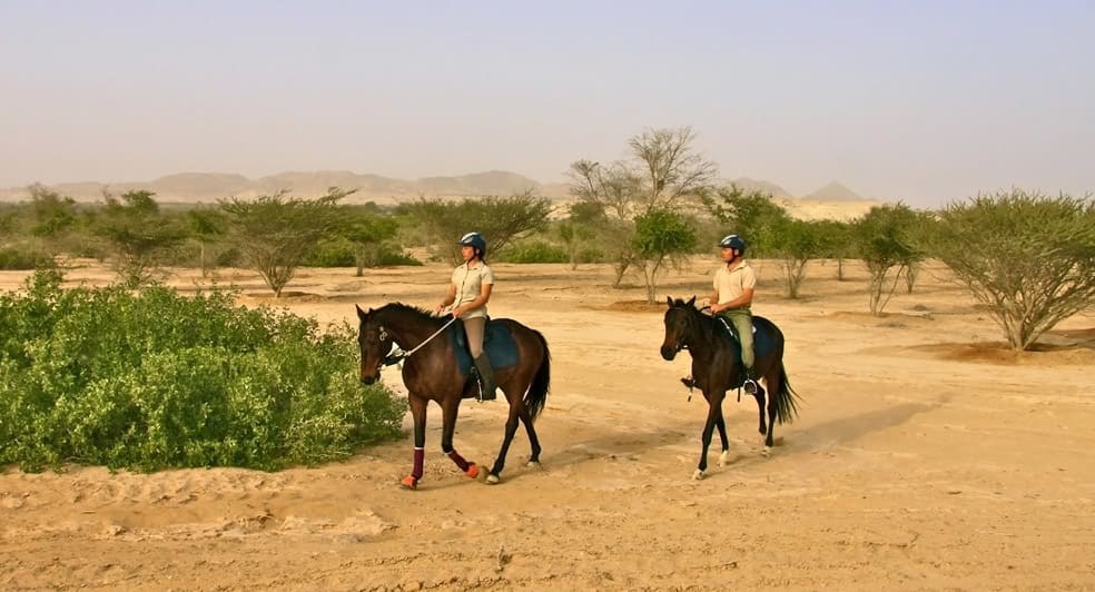 Private Island Horseback Riding: Coastal Trail