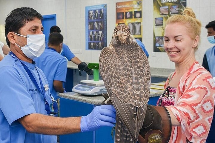 Abu Dhabi Falcon Hospital: Behind-the-Scenes VIP Expert Tour