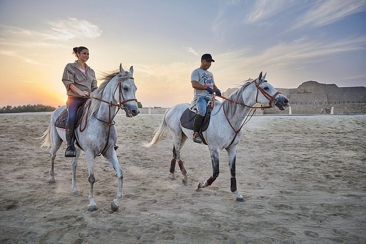 Sunset Horseback Ride Along the Bahrain Coast
