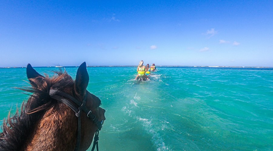Chukka Horseback Ride 'N' Swim & Private Beach