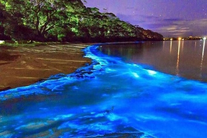 Luminous Lagoon Night Kayak — Glistening Waters