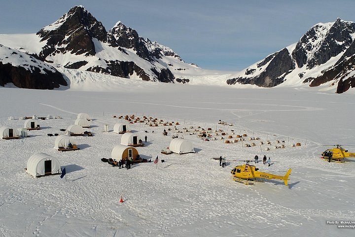 Helicopter Dog Sledding on a Glacier
