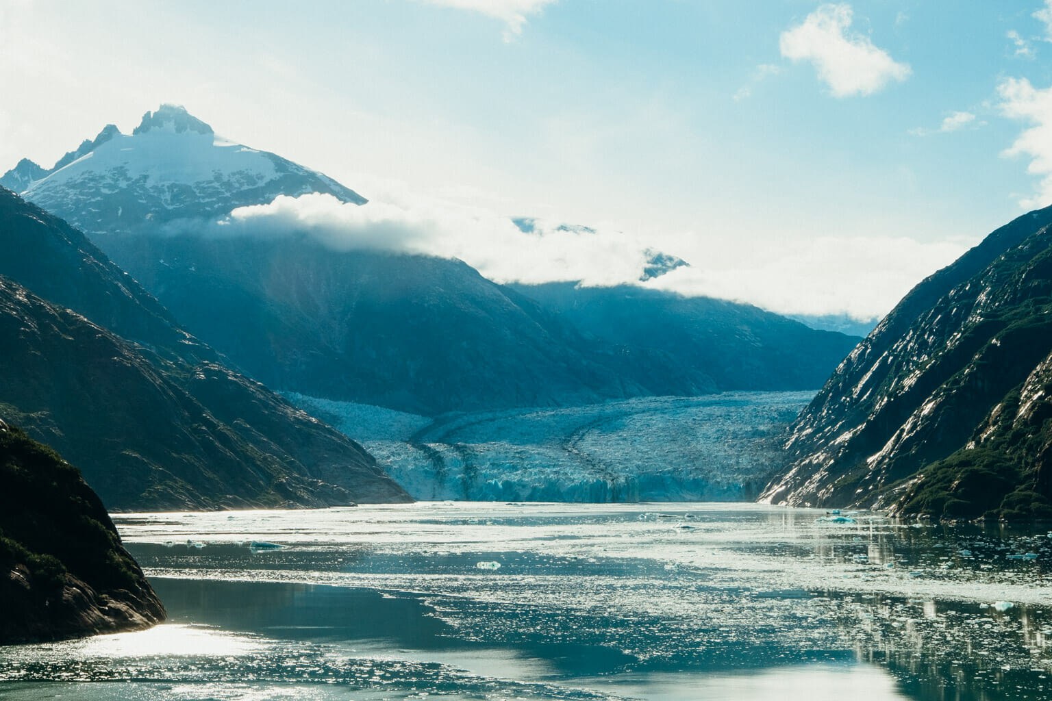 Endicott Arm Fjord & Dawes Glacier Day Cruise