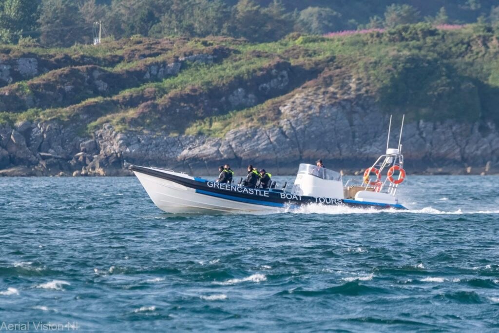 Lough Foyle & Atlantic Private Boat Charter: Seal & Seabird Safari