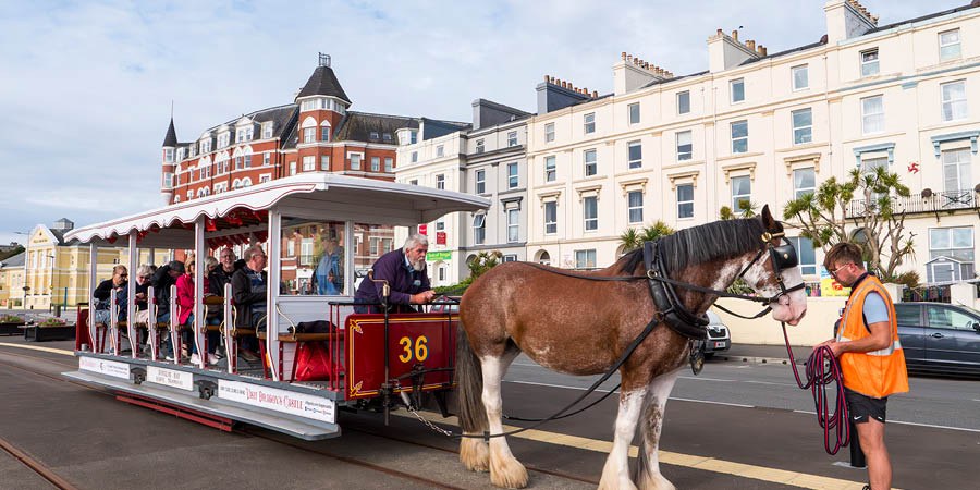 Douglas Horse Trams & Manx Museum: Living Heritage of the Promenade