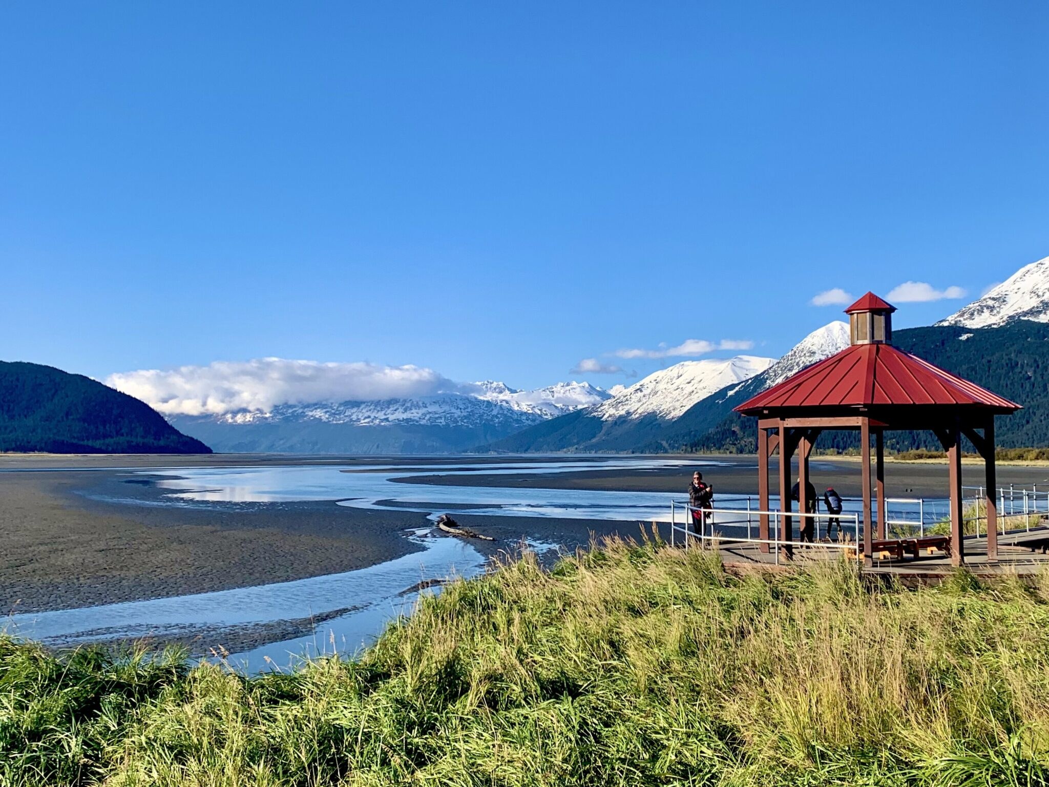 Alaska Wildlife Conservation Center: Private Expert Tour