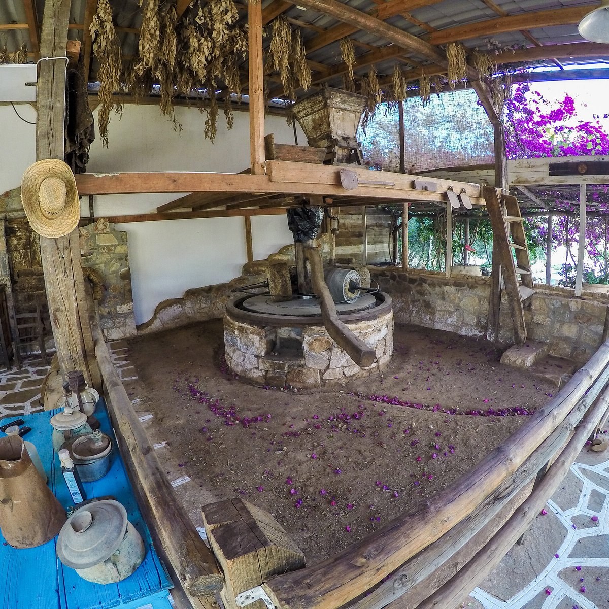 Spiridi Olive Oil Farm: Private Estate Tasting & Cretan Gastronomy
