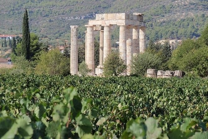 Nemea Wine Tour: Private Tasting with Oenologist in Wine Country