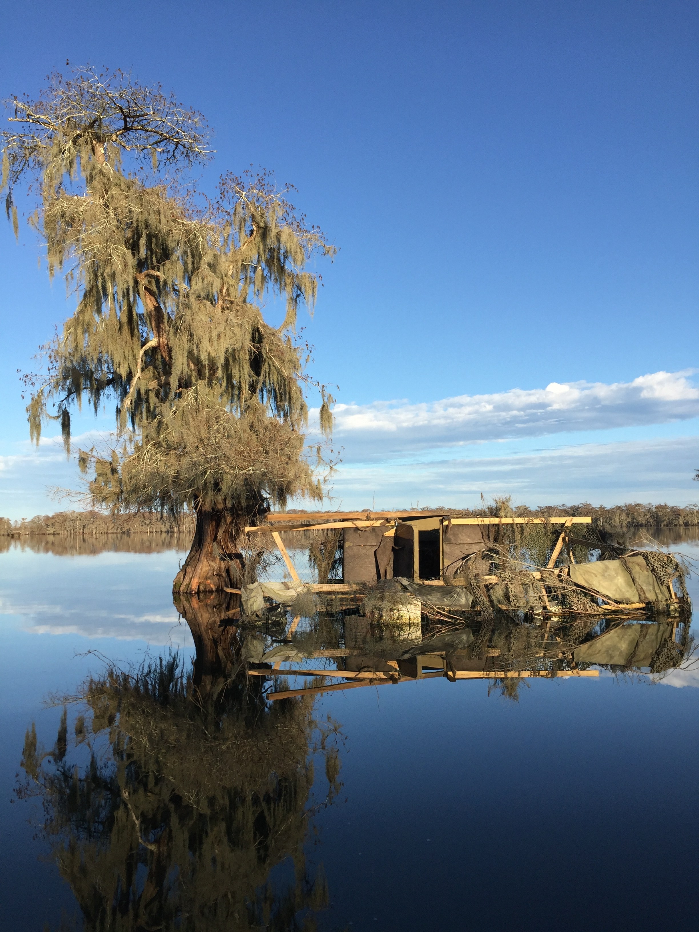 Frogmore Cotton Plantation: Living History Across the River