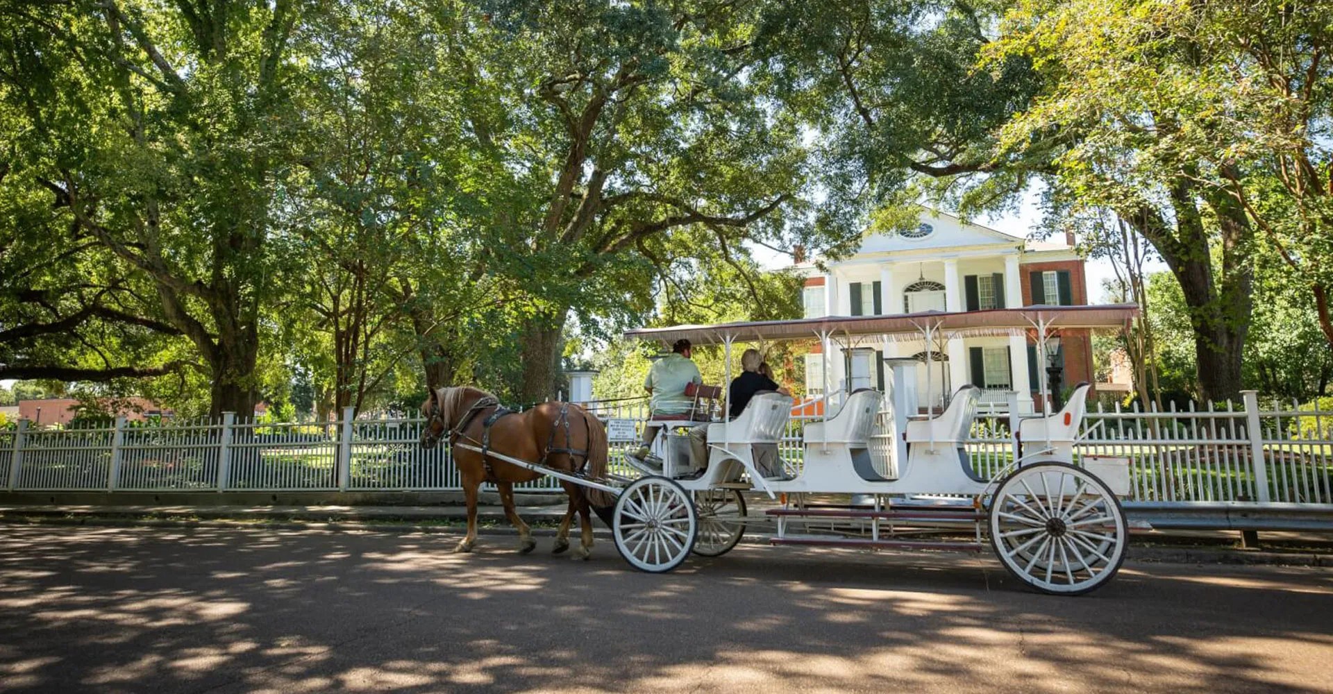 Little Easy Tours: Curated Private Natchez Experience