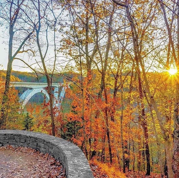 Natchez Trace Parkway: Scenic Drive & Wilderness Walk