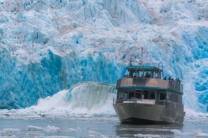 Tracy Arm Fjord: Glaciers, Icebergs & Wildlife by Catamaran