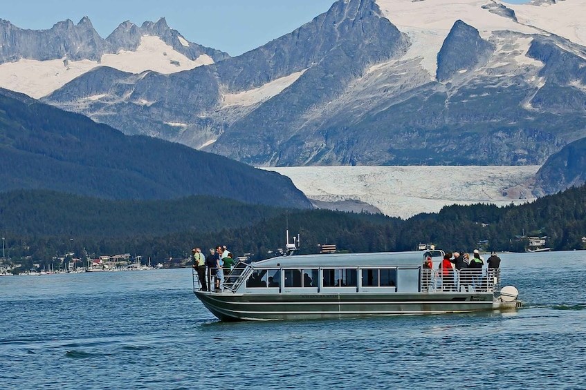 Whale Watching: Humpbacks of Stephens Passage, Small Boat