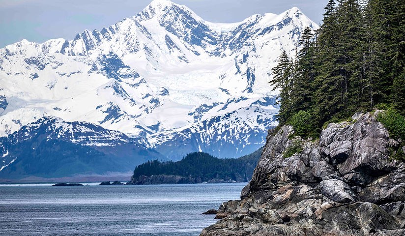 Private Custom Juneau Tour: Glacier, Wildlife & Hidden Trails