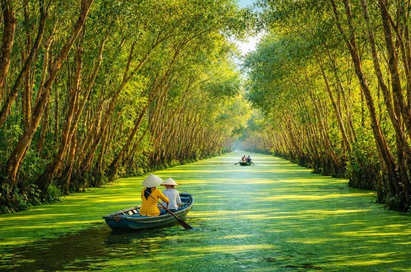 Sunrise Kayak Through the Mekong Backwaters: Wildlife & Water Villages