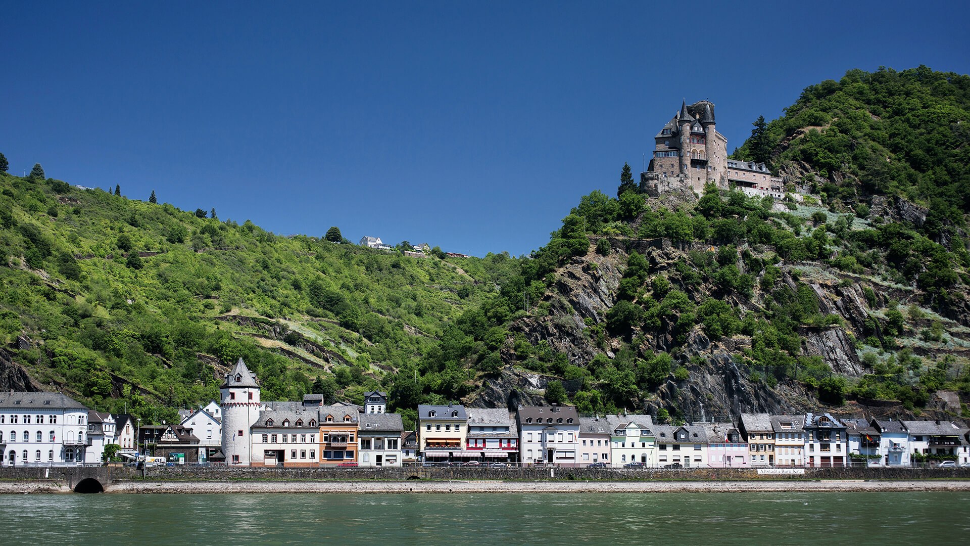 Rheingau Wine Estate Private Tasting & Vineyard Tour