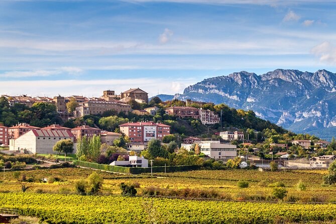 La Rioja Alavesa: Private Winery Tour & Laguardia Medieval Village
