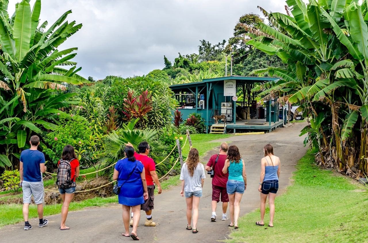 Kona Coffee Farm Estate Tour & Premium Tasting Experience