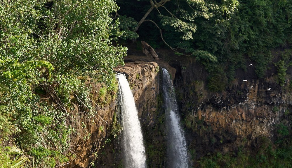 Hawaii Movie Tour: Kauai's Legendary Film Locations