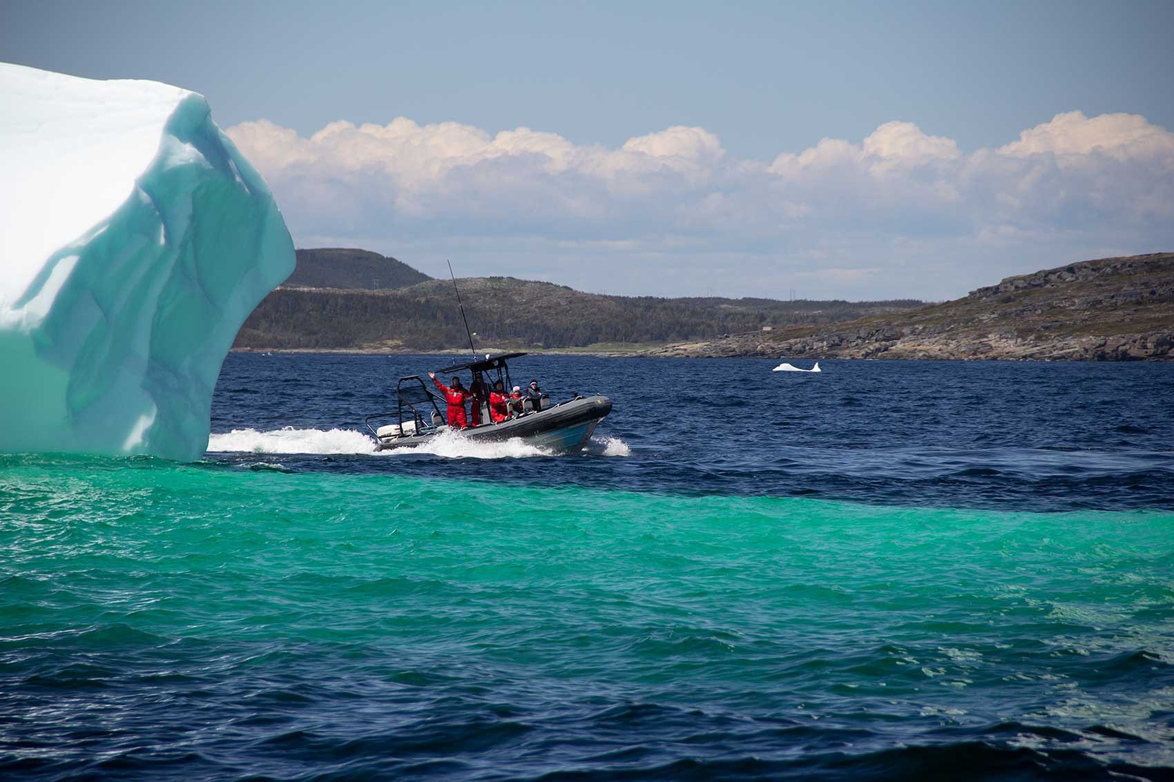 Zodiac Iceberg & Whale Safari off St. Anthony Harbour