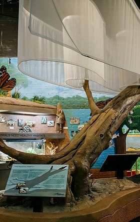 River Discovery Center: Mastering the Mighty Ohio