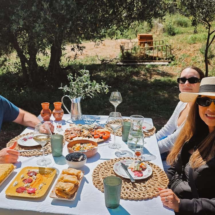 Sunset Slow-Food Dinner in an Olive Grove with Sea Views
