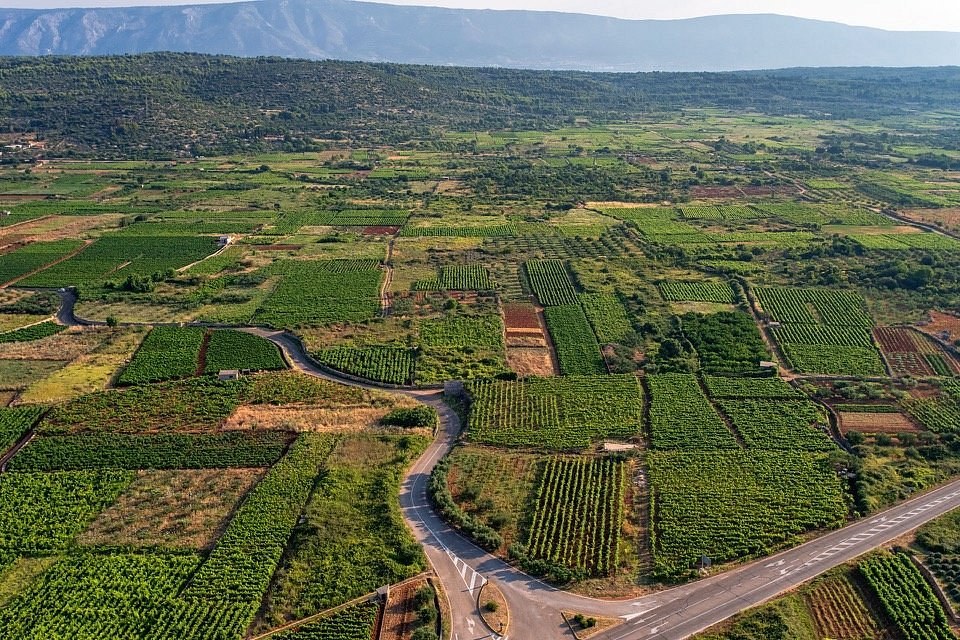 Stari Grad Plain UNESCO Cycle Tour & Winery Visit