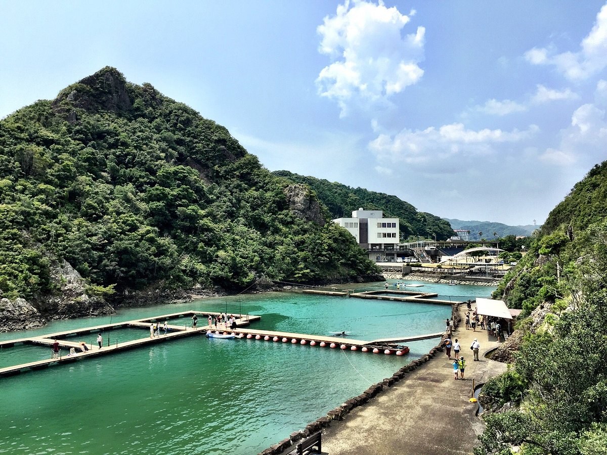 Taiji Whale Museum: Japan's Deep Maritime Heritage