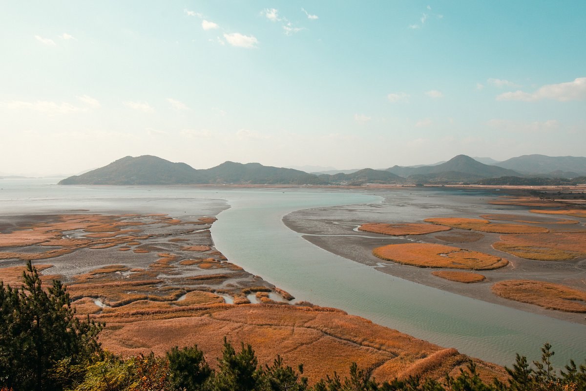 Suncheon Bay Wetland Reserve: Private Eco-Immersion