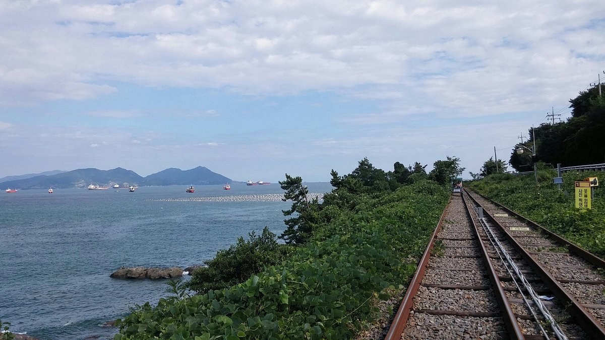 Yeosu Ocean Rail Bike: Private Coastal Pedal Along the Sea