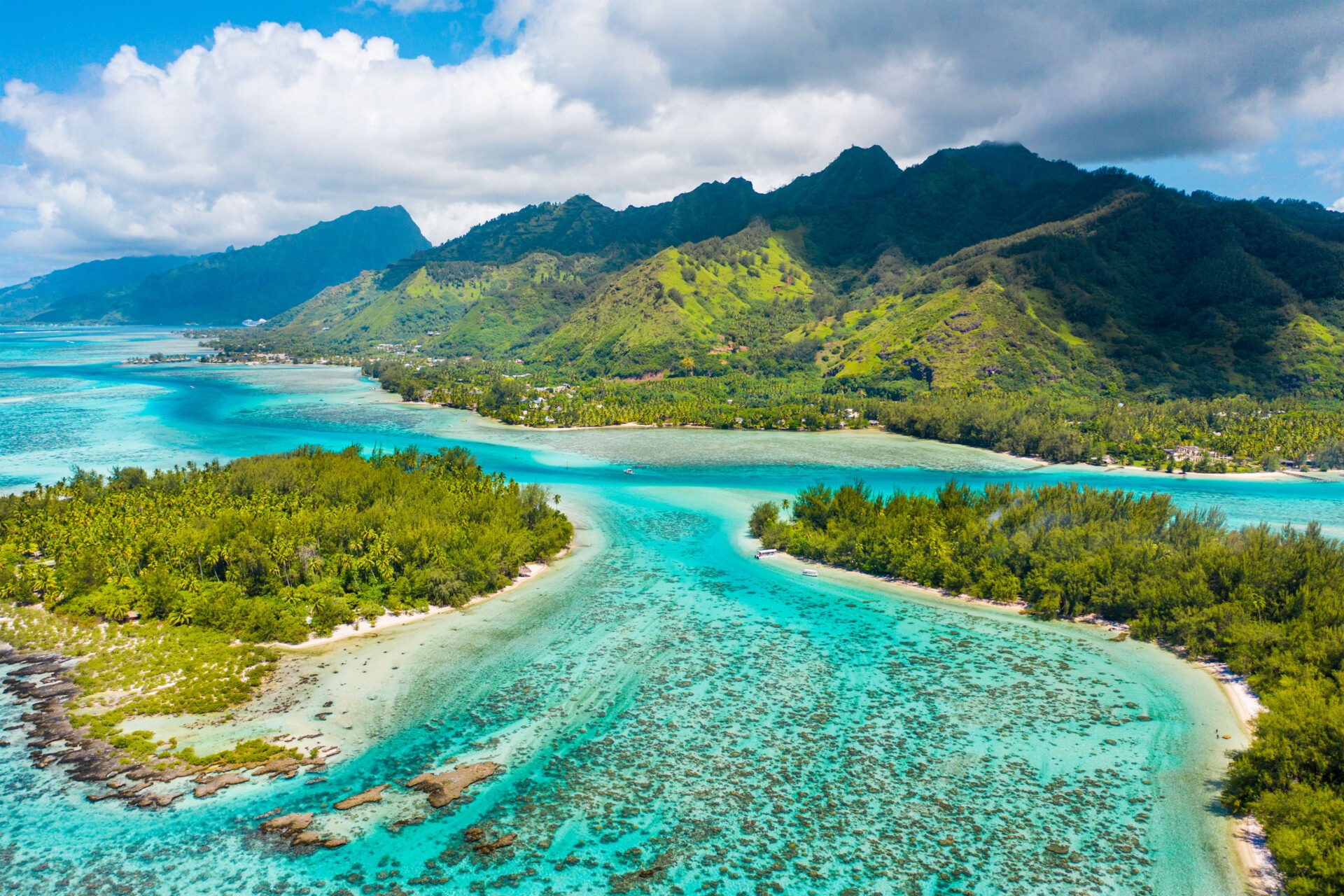 Tahanea Lagoon: Exclusive Private MotU Picnic & Snorkel Charter