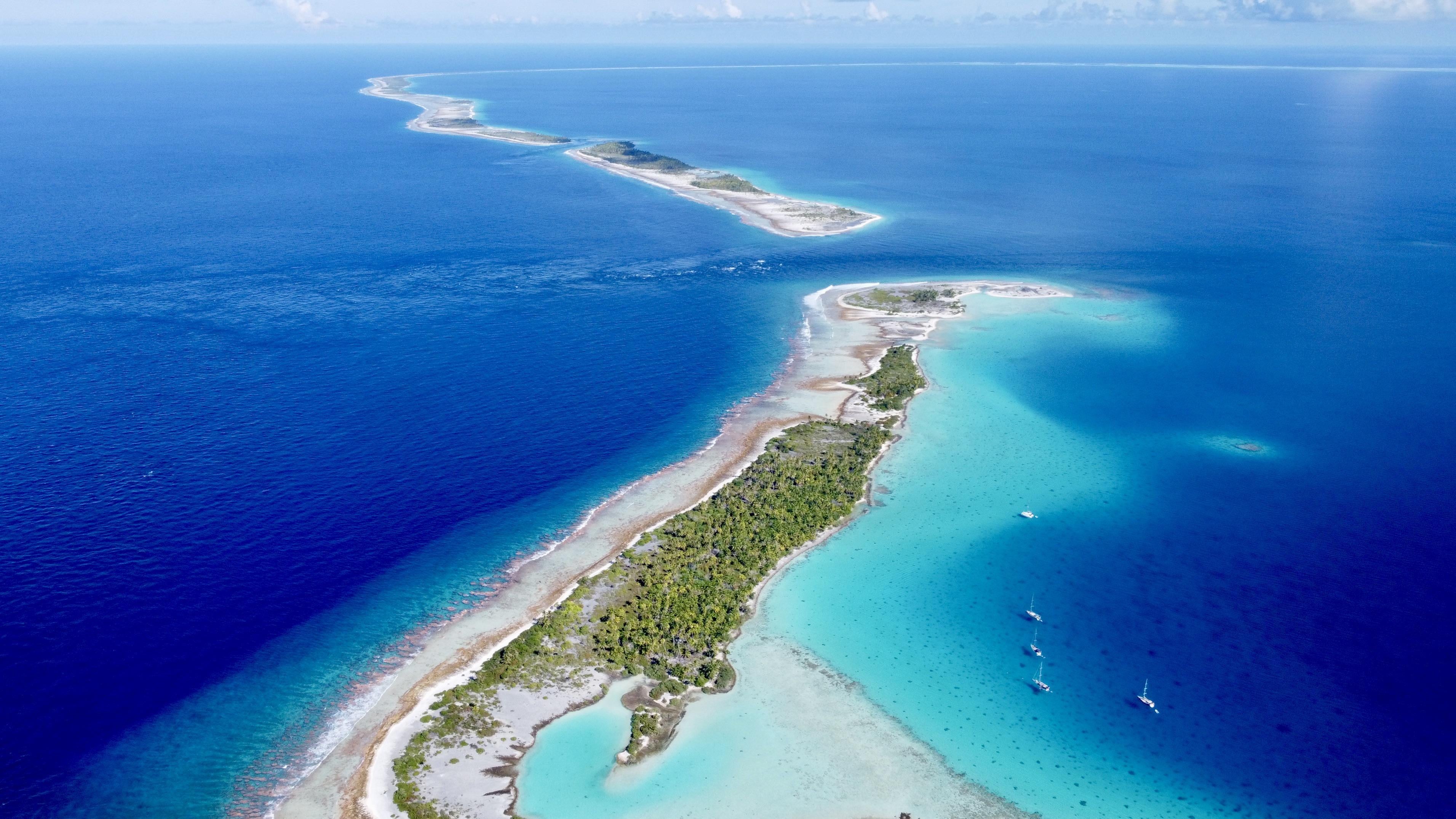 Tahanea Reef: Private Freediving & Spearfishing with a Champion