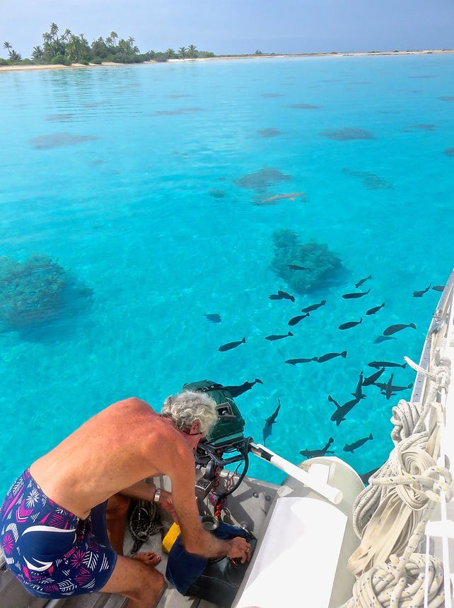 Tahanea's Living Reef: Private Marine Biologist Snorkel Expedition