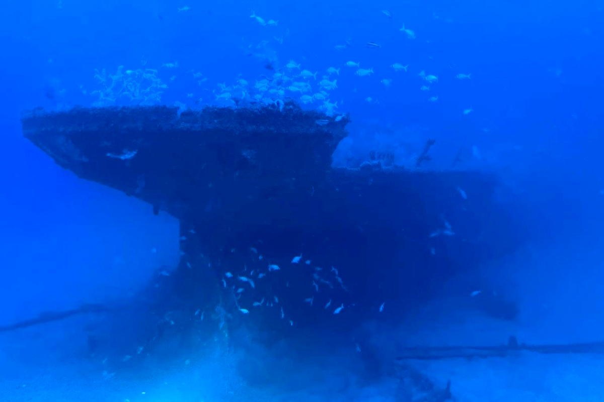 Submarine Dive: Shipwrecks & Black Coral of Cumberland Bay