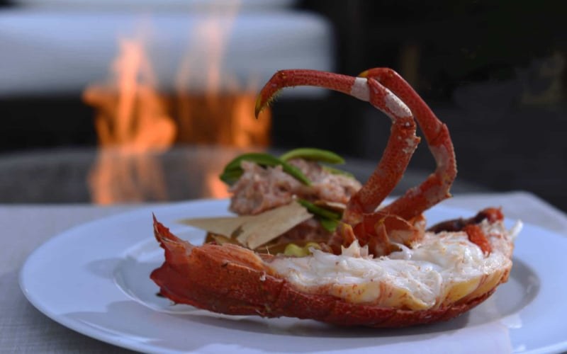 Artisan Lobster Lunch Aboard a Local Fishing Vessel