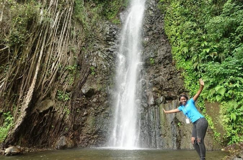 Dark View Falls & Black Sand Beach: Rainforest Plunge